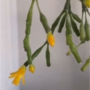 Meet your Posher, Bonsoirspace